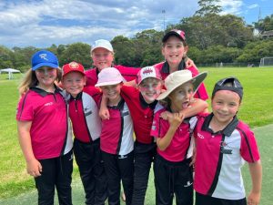 Girls Cricket